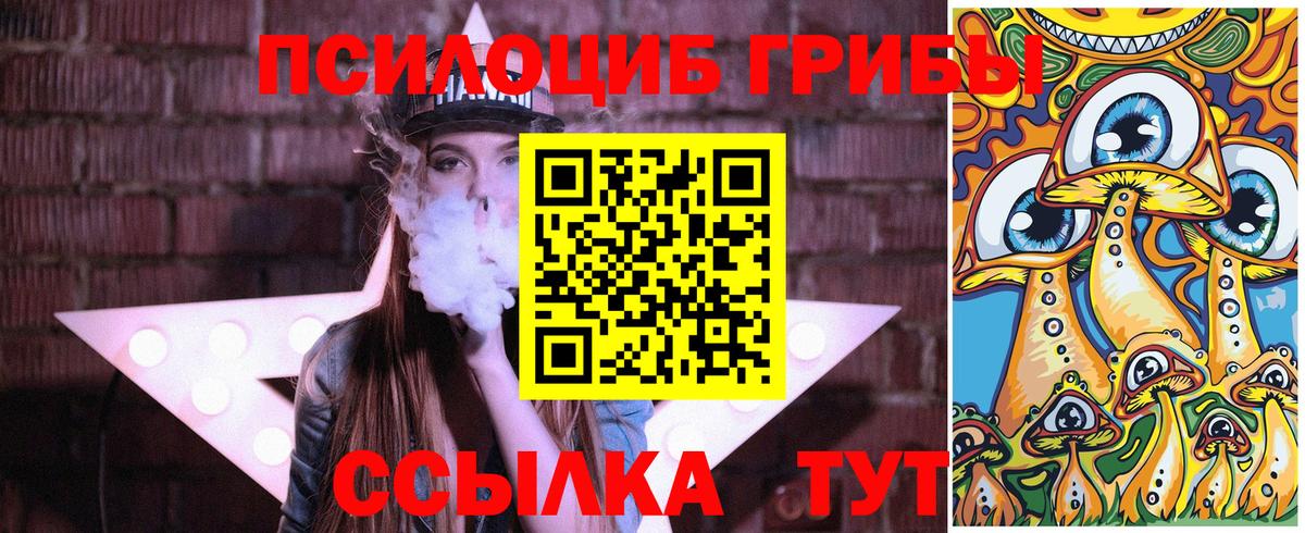 Кохма  Псилоцибиновые грибы мицелий  Вход с VPN 